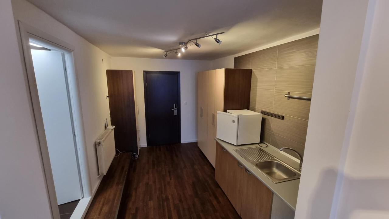 Vila Parc Cluj-Napoca Exteriör bild