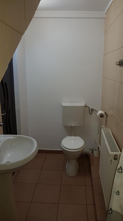 Vila Parc Cluj-Napoca Exteriör bild
